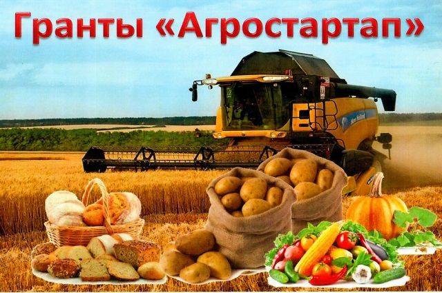 На Камчатке начали выплачивать гранты «Агростартап» на развитие ферм