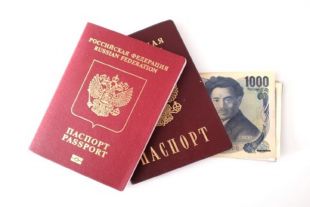 Остапы Бендеры в российской системе миграционных услуг