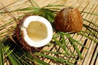 Стало известно, чем полезен и вреден кокос для организма человека.