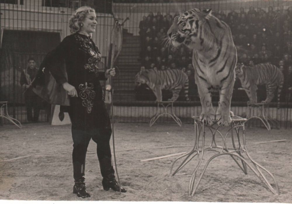 Вскоре после успеха фильма "Укротительница тигров"  Маргарите предложили работу в цирке 