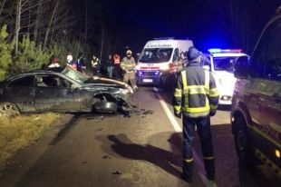 В Ровенской области произошло ДТП из-за лося: животное погибло