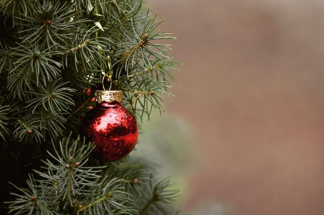 В Комсомольске-на-Амуре 18 декабря откроют новогоднюю елку