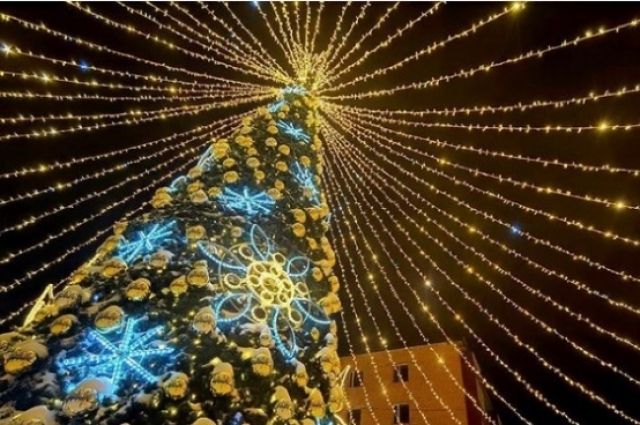 Главную новогоднюю елку установят в центре Владивостока