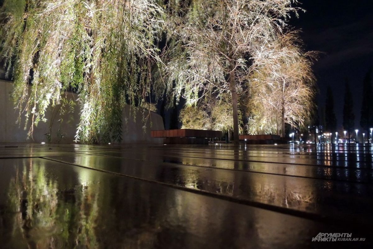 Парк галицкого в краснодаре фото сейчас ночью