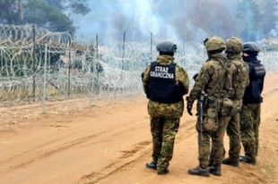 Польские пограничники задержали еще 92 мигрантов на границе с Беларусью.