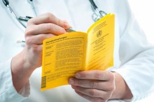 В Украине сократят срок действия «желтого» сертификата: что нужно знать