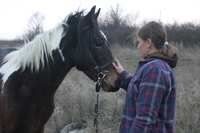 Конь Брего и его новая хозяйка Софья сразу нашли общий язык.