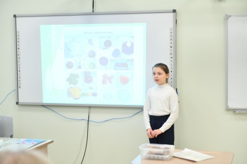 Ксения Глазырина защитила проект создания натуральных красок в домашних условиях.