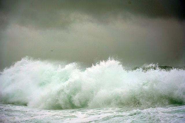 К берегам Камчатки движется шторм – волны могут достигать девяти метров