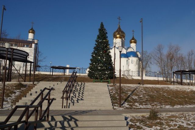 В Петропавловске-Камчатском планируют поставить 16 новогодних ёлок
