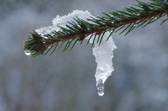Потепление до +5 градусов ожидается в Челябинской области