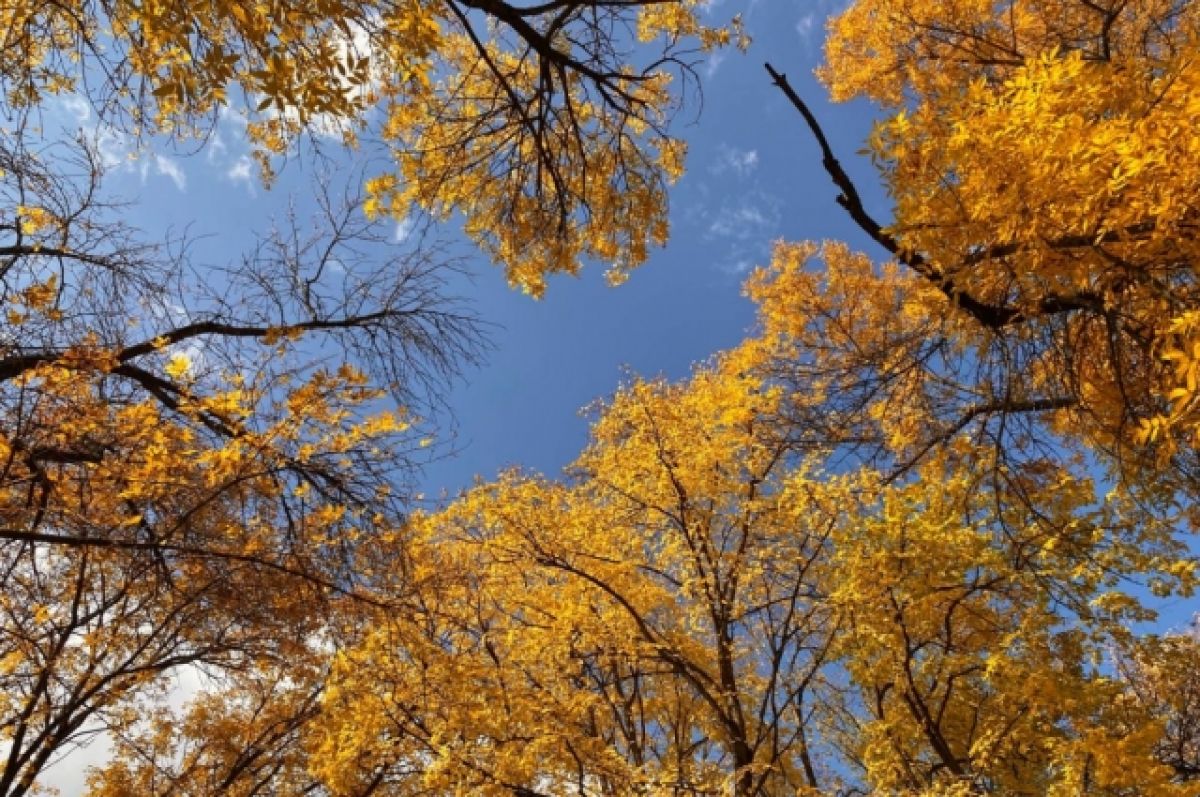 Осенняя Адыгея Фото