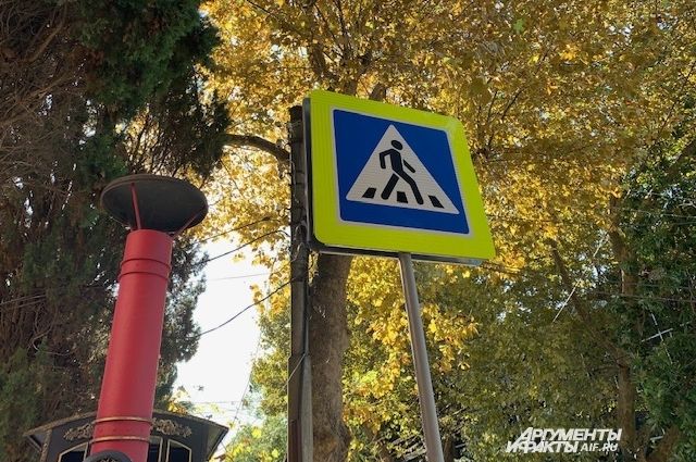 Три ДТП с участием пешеходов произошло в Ростовской области за один день