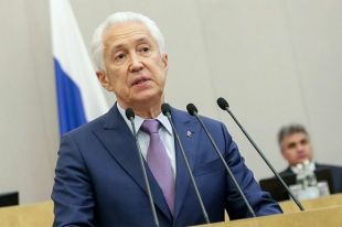 Владимир Васильев.