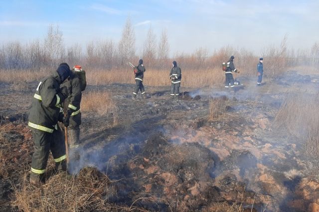 Найден и оштрафован виновник торфяных пожаров в Екатеринбурге