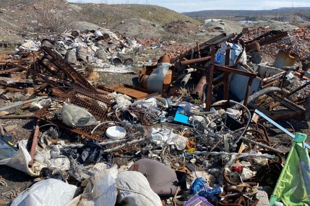 Экологический ущерб оценили в 270 миллионов рублей.