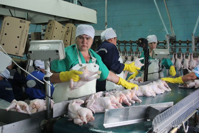 В Нижегородской области в строительство птицефабрики инвестируют 5 млрд