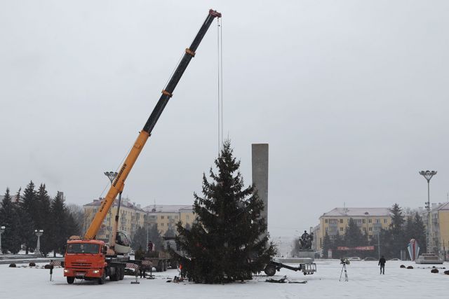 В Брянске установили первую городскую новогоднюю елку