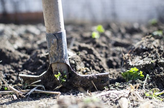В Хабаровском крае за ущерб почве взыскали более 120 тыс рублей