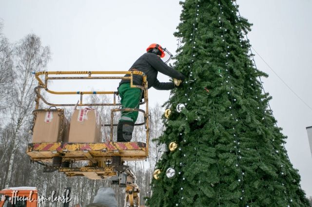 Новогодняя елка появилась в парке «Соловьиная роща» в Смоленске