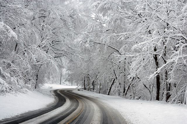 Из-за снегопада без электричества остались 200 населенных пунктов Львовщины