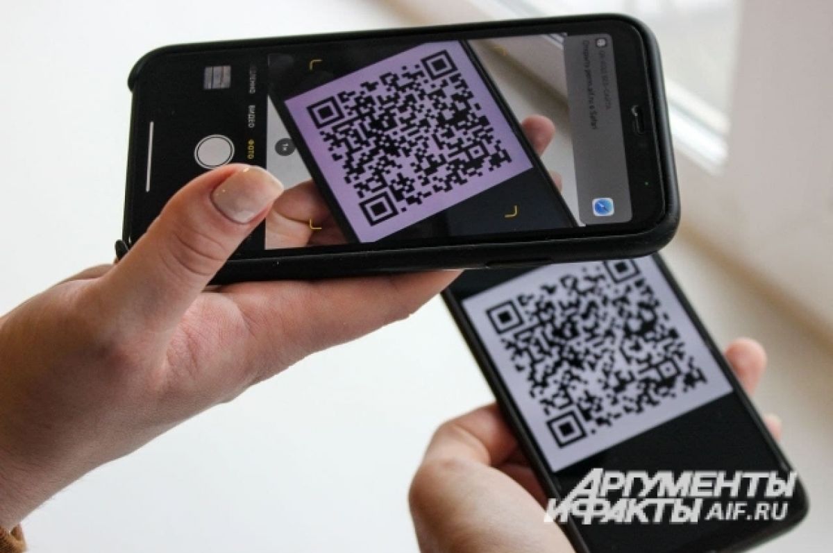 На Белгородчине могут продлить режим QR-кодов после 6 декабря | АиФ Белгород