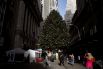 Рождественская ель у Рокфеллер-центра в Нью-Йорке перед церемонией зажжения