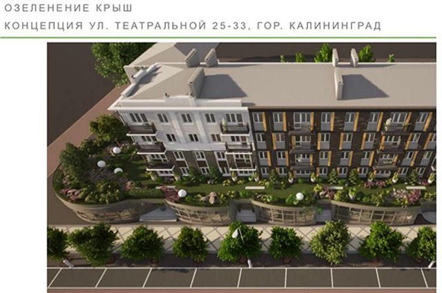 В Калининграде собираются заняться озеленением крыш