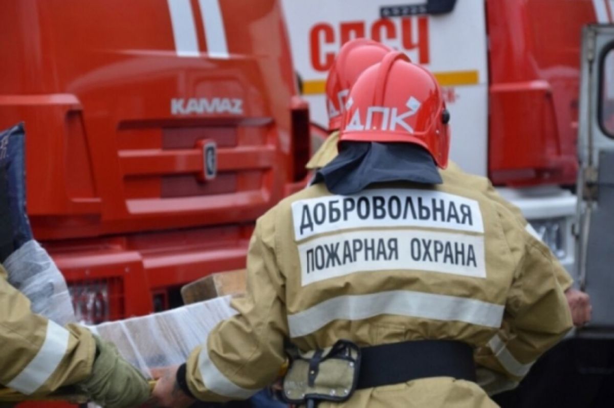 В Хабаровском крае волонтеры помоги потушить 487 пожаров | АиФ Хабаровск