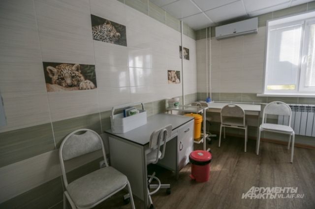 Детскую поликлинику № 118 в Петербурге закроют на капремонт