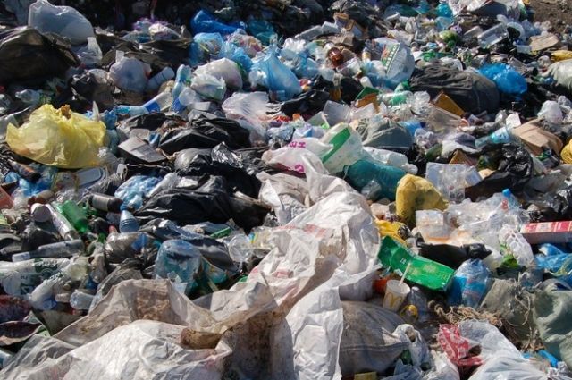 Новосибирску грозит мусорный коллапс из-за банкротства регоператора по ТКО