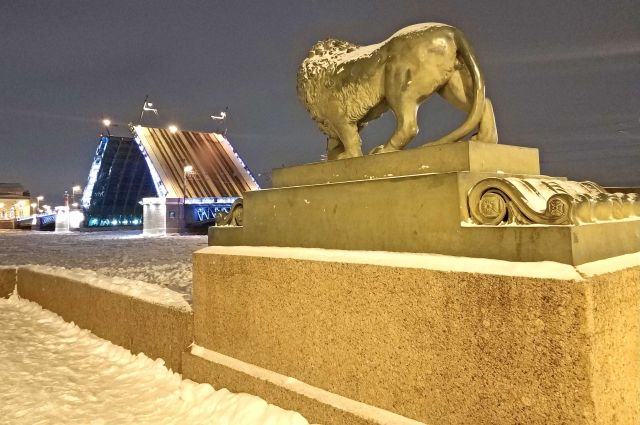 Дворцовый мост в Петербурге развели в декабре. Фото необычной активности