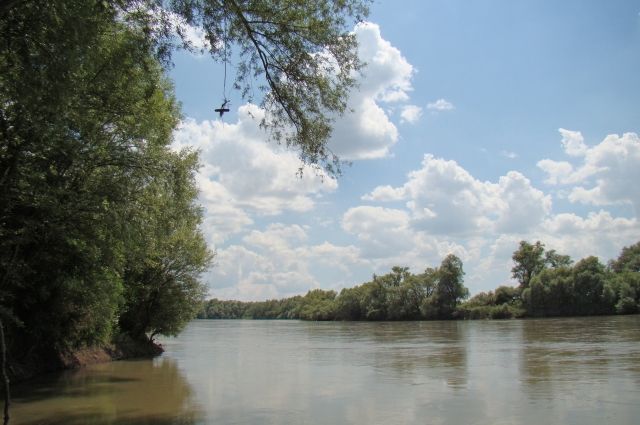 Река Лаба – один из двух крупнейших притоков Кубани.