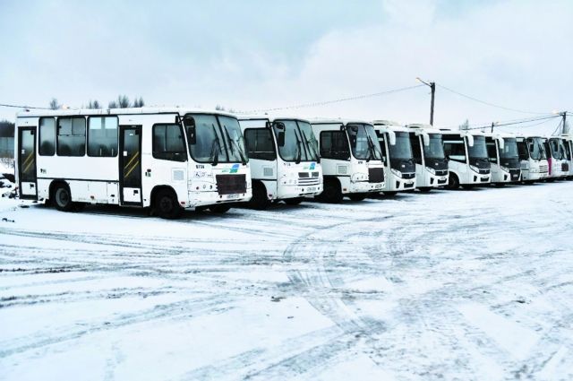 Первая партия автобусов прибыла из Санкт-Петербурга.