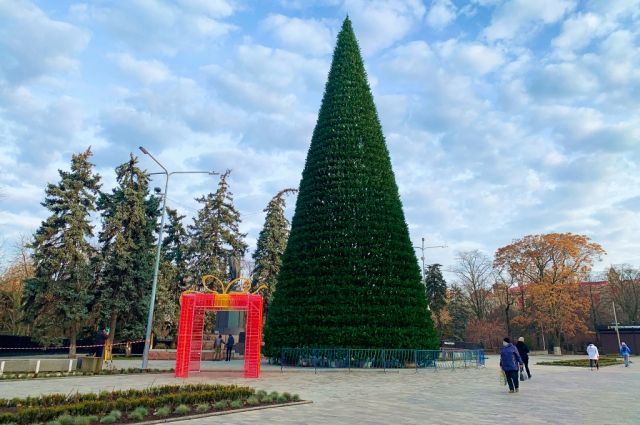 Главный санврач Дона посоветовал не покидать свои города в Новый год