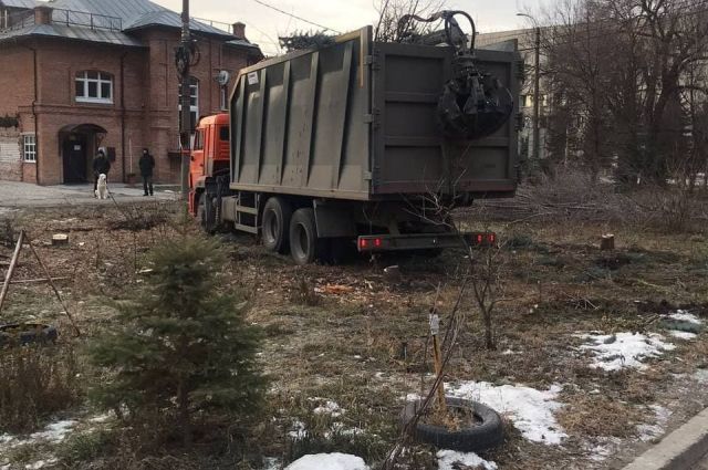 По факту рубки деревьев напротив Дома Советов возбудили уголовное дело