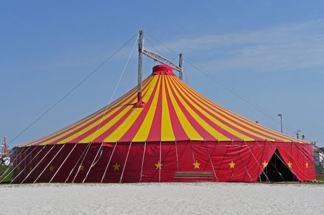 Цирк «Золотой дракон» выплатит зоозащитнице из Новосибирска 124 000 рублей