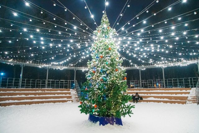 В Липецке в 2021 году появятся 42 новогодние ели