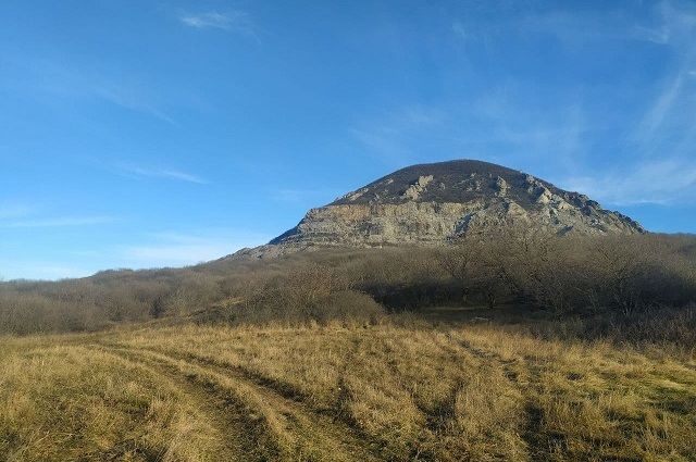 Гора змейка красный Пахарь