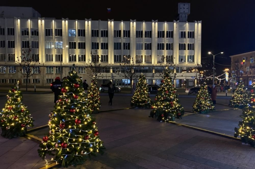 Маленькие ёлочки около здания правительства области на Соборной площади.