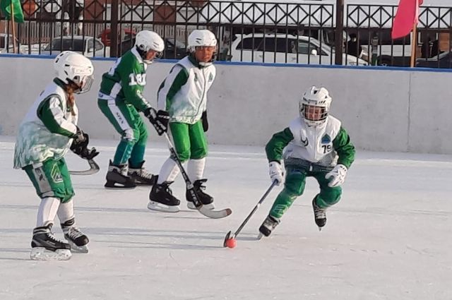 Секция хоккея с мячом открылась в поселке Усть-Ордынский