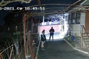 Под Одессой во двор пенсионера забрались соседи и убили спасенных им собак