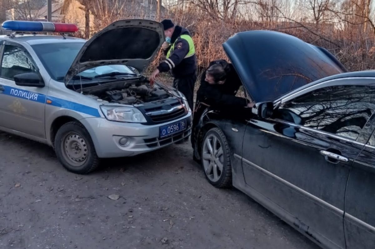 В Воронежской области сотрудники ДПС помогли водителю из Абхазии | АиФ  Воронеж