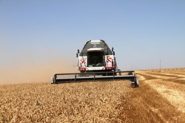 В краевой каравай округ сдал 670000 т зерновых при средней урожайности 60 ц/га.