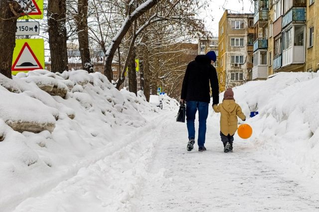 В Новосибирске ожидается -4 градуса со снегом на следующей неделе