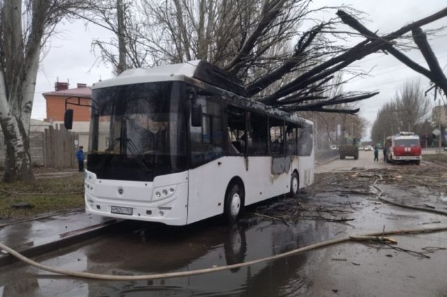 Автобус с 40 пассажирами загорелся в Таганроге из-за рухнувшего дерева