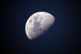 Япония разработает луноход для перевозки людей