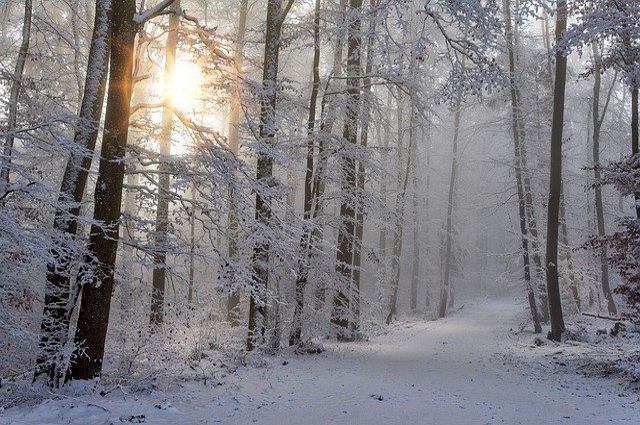 Сильный снег прогнозируется 21 декабря в Волгоградском регионе