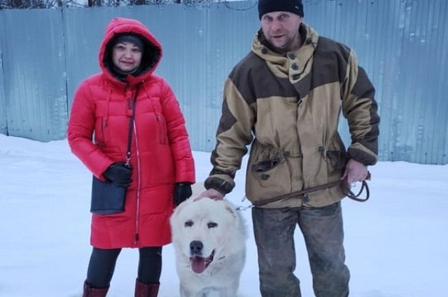 Собака из УФСИН нашла новых хозяев в Десногорске