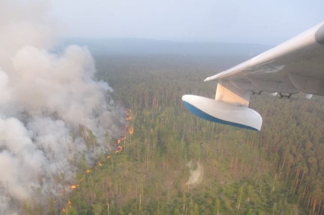 В Красноярском крае будут судить обвиняемого в лесных пожарах 2019 года